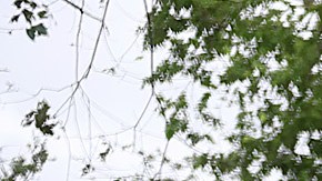 Efectos de tormenta Nicole en Daytona Beach, Florida