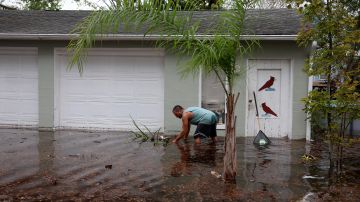 Efectos de tormenta Nicole en Daytona Beach, Florida