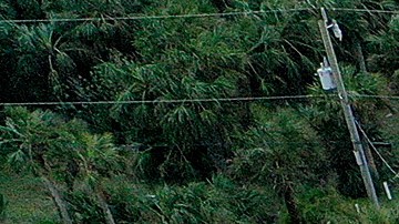 Tormenta Nicole en Daytona Beach Florida