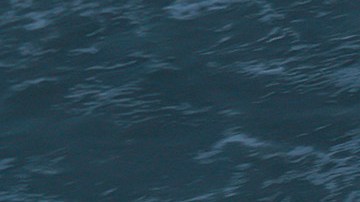 Efectos tormenta Nicole en Florida