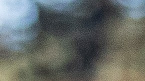 Poland Builds Fence At Russian Border To Prevent Possible Migrant Access