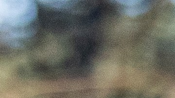 Poland Builds Fence At Russian Border To Prevent Possible Migrant Access