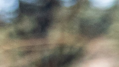 Poland Builds Fence At Russian Border To Prevent Possible Migrant Access