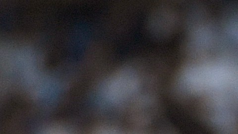 Messi puso el 4-0 contra Emiratos Árabes Unidos