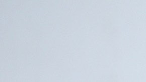 El actor Chris Hemsworth reveló que podría padecer de Alzheimer.