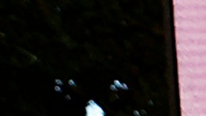 Bebe Rexha lució un escotado y voluminoso vestido rojo.