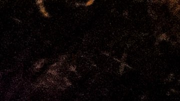 Protest in Beijing Against China Covid Measures