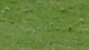Cristiano Ronaldo (L) y Joao Félix (R) celebran el primer gol de Portugal ante Uruguay.