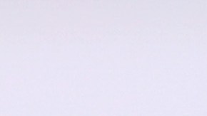 Gerardo Tata Martino