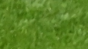 Ismaila Sarr de Senegal lucha por la posesión con Angelo Preciado de Ecuador.