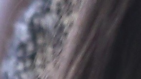 El proyecto de ley en la Cámara busca asegurar la asesoría legal para niños inmigrantes.