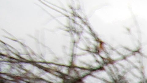 Tornado en Mississippi