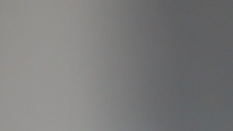 "Muerte a Putin, criaron a un bicho raro y a un asesino", decía la carta.