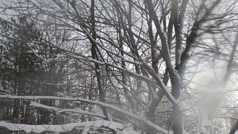 Una nevada similar a la de este año se registró en 2014 en Buffalo.