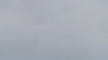 El incidente se registró en el Palace of Fine Arts de San Francisco.