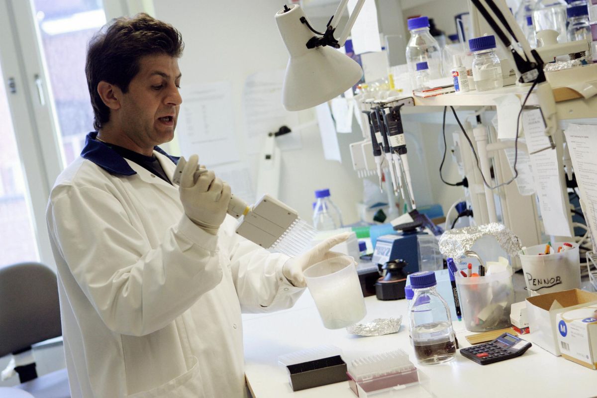 Un investigador de la enfermedad de Chagas en un laboratorio en Suecia.