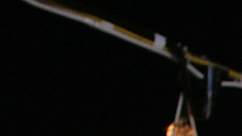 Un estudio podría revelar de qué murió Bruce Lee.