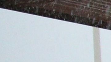 Las reservaciones de Disney quedaron canceladas.