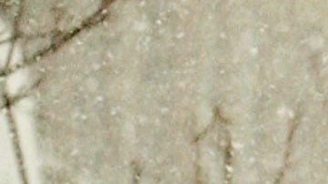 Nevada en Buffalo, NY