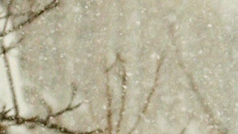 Nevada en Buffalo, NY