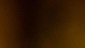 El brote ya ha provocado la matanza de más de 50 millones de aves en todo el país.