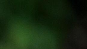 El niño Julio Otero Fernández fue decapitado por el reptil.