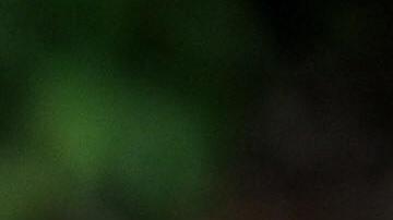 El niño Julio Otero Fernández fue decapitado por el reptil.