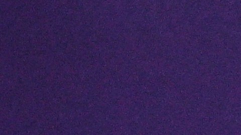 Gustavo Alfaro salió en defensa del ecuatoriano Moises Caicedo cuando le preguntaron por los DD.HH. en el Mundial