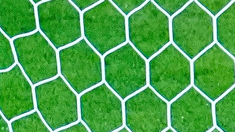 Guillermo Ochoa atajó un penal a Robert Lewandowski.