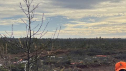 Los rescatistas sacan a Joseph Nolin, de 74 años del bosque.