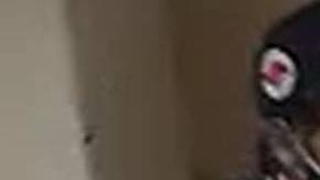 El Bronx Robo Abuso sexual Violación