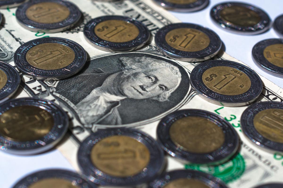 En EE.UU., un trabajador inmigrante mexicano gana un promedio de $42,883  dólares anuales - El Diario NY