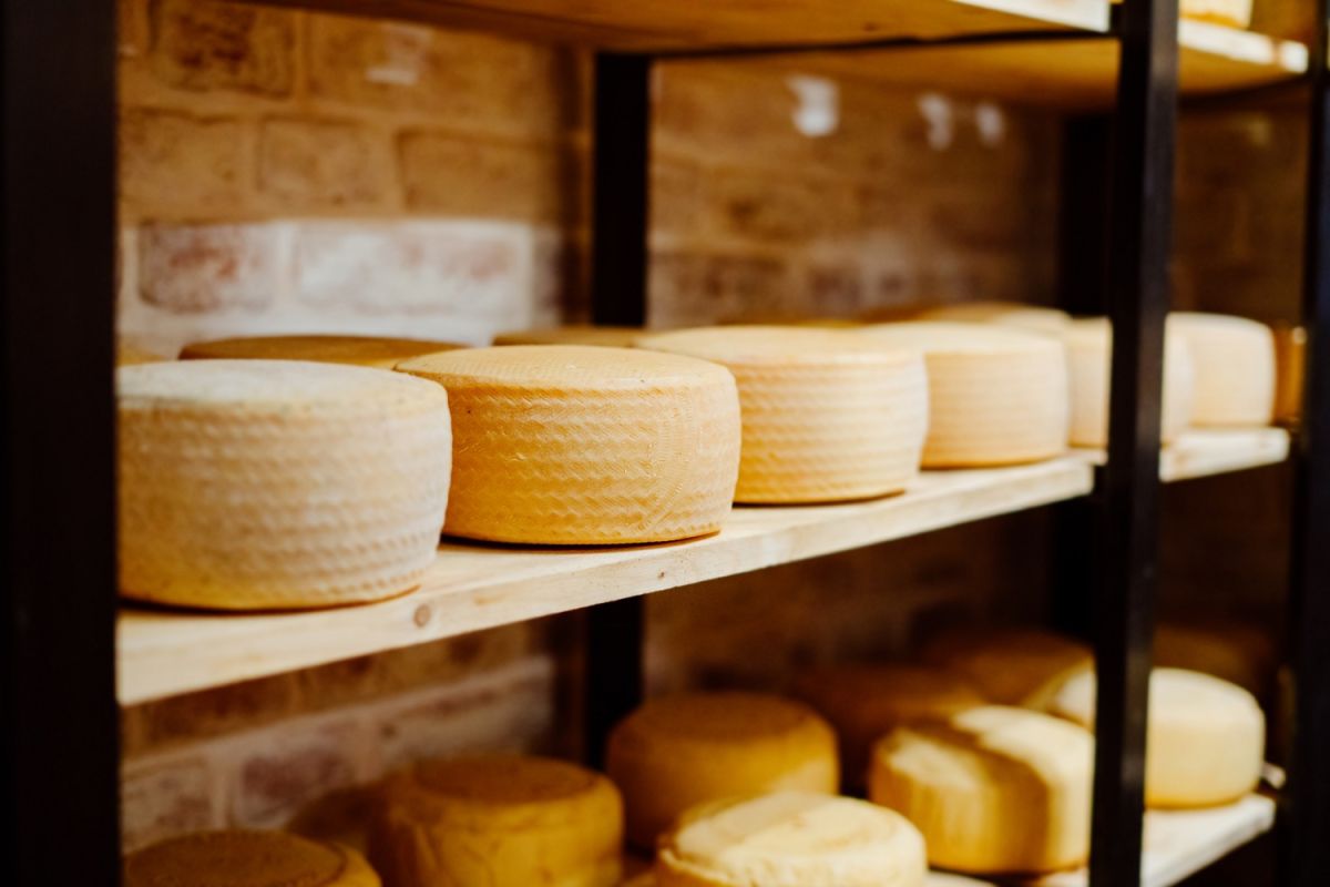 Entre más de 4 mil quesos, un queso suizo fue elegido como el mejor queso del mundo del 2022.