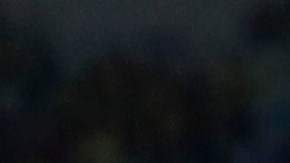 Tite afirma que Brasil es uno de los favoritos a conquistar el Mundial Qatar 2022