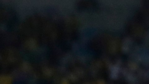Tite afirma que Brasil es uno de los favoritos a conquistar el Mundial Qatar 2022