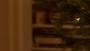 Soporte para árbol de navidad Miller Lite