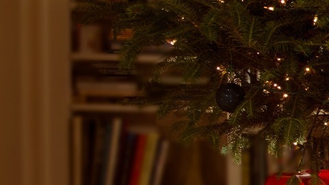 Soporte para árbol de navidad Miller Lite