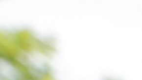 Indonesia sismo terremoto