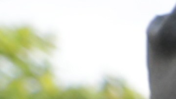 Indonesia sismo terremoto