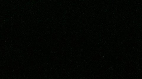 beyond-meat-contaminacion