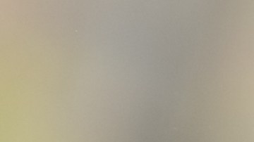 desempleo-afroamericanos