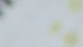 deuda-estudiantil-florida