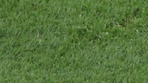 Neymar jr. sufrió un fuerte golpe en el tobillo y tuvo que salir del partido.