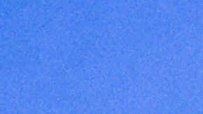 elon-musk-twitter-comidas-gratis