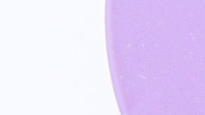 fedex-demanda-discriminacion