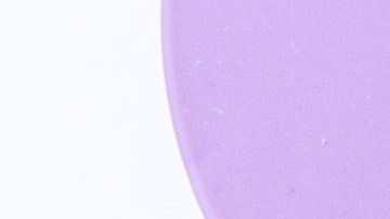 fedex-demanda-discriminacion