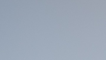 gallo-robo-santuario