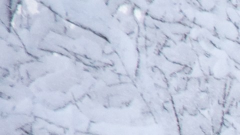 loteria-idaho-tormenta-de-nieve