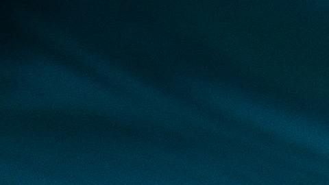 La "Leviathanochelys aenigmatica" fue una de las tortugas marinas más grandes que jamás haya existido.