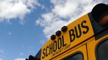 Autobús escolar/Archivo.